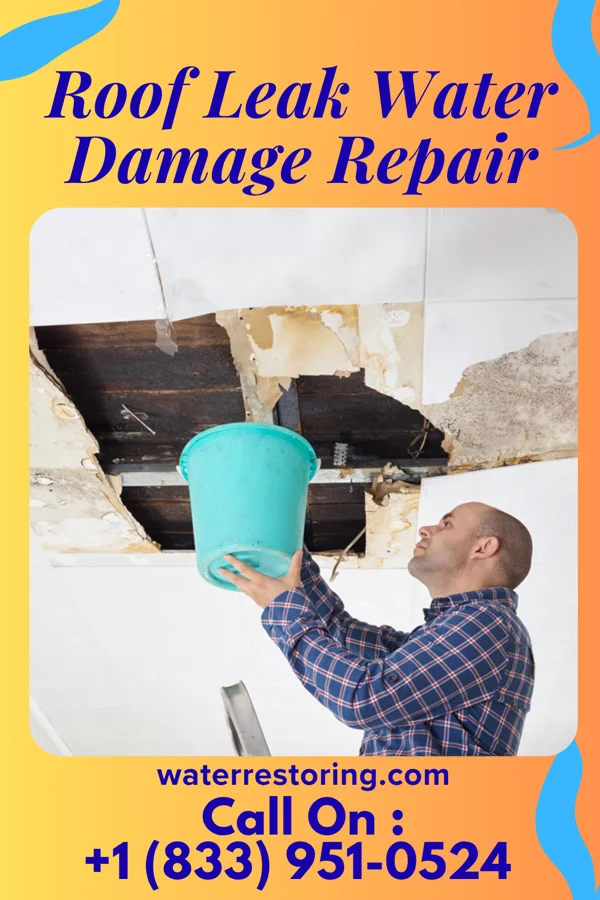 Roof Leak Water Damage Repair in Lake Mary Ronan, MT